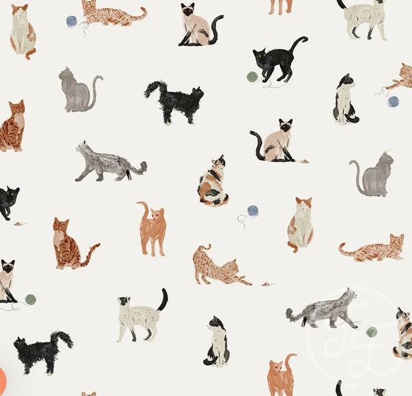 Camiseta CATS